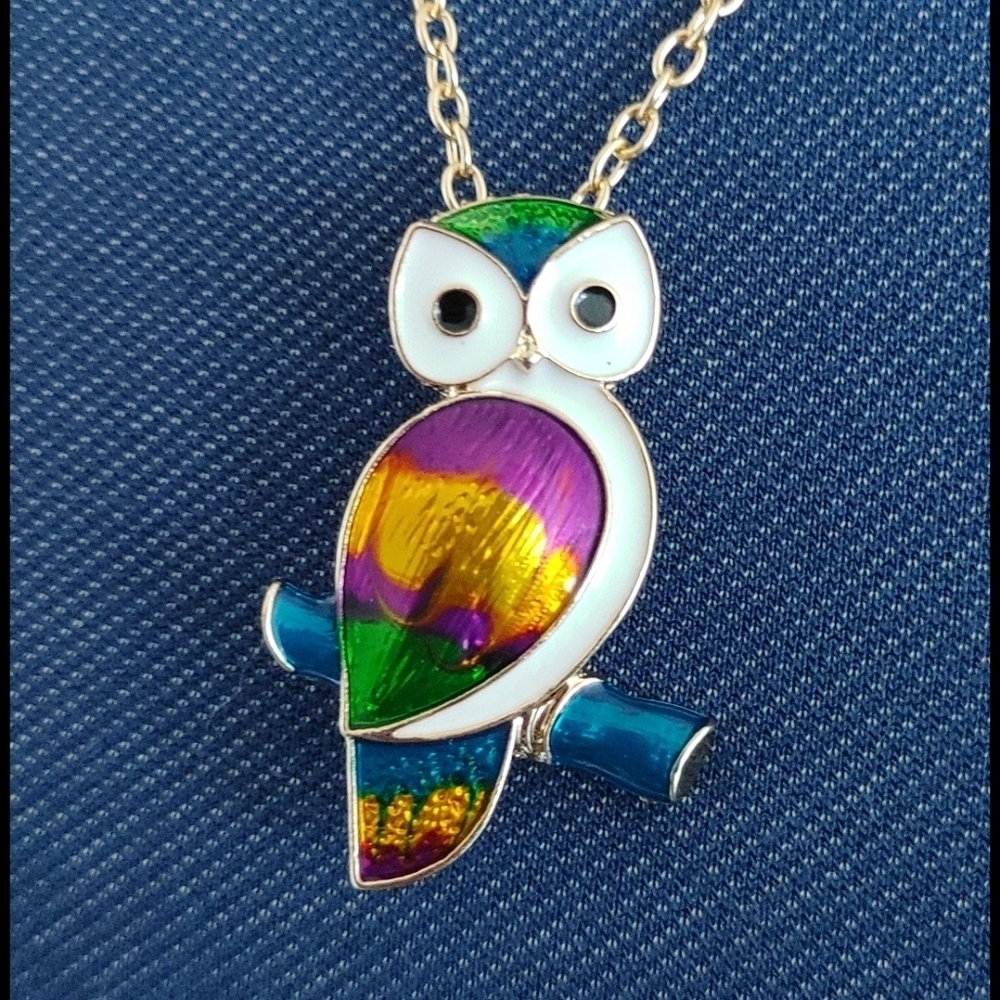 Enamel Owl Pendant / Brooch Necklace